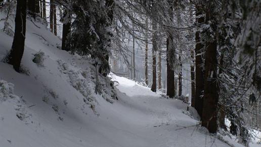 W drodze na Baranią Górę, Tadeusz Walkowicz