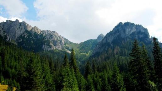 Dolina Kościeliska, Jarek