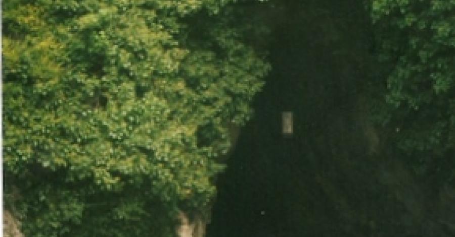 Jaskinia Postojna - zdjęcie