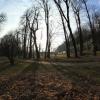 Park zamkowy w Suchej-Beskidzkiej, Adam Prończuk