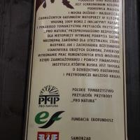 Kościół drewniany w Słopnicach, Adam Prończuk