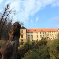 Park zamkowy w Suchej-Beskidzkiej, Adam Prończuk