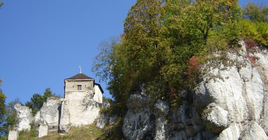 Nasze skarby narodowe - Ojcowski Park - zdjęcie