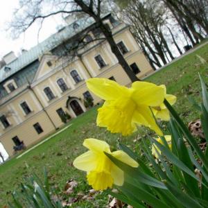 Pałac w Rybnej