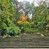 park bednarskiego, Magdalena