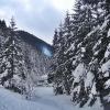 , Magdalena