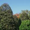 park Jordana, Magdalena