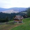 , axtom