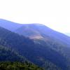 , axtom