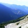 , axtom