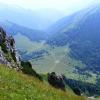 , axtom