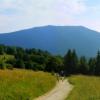 , axtom