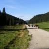 , axtom