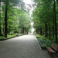 , Zbyszek Mat
