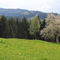 Wiosna, Adam Prończuk