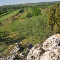 pozostałości strażnicy Łutowiec, Magdalena