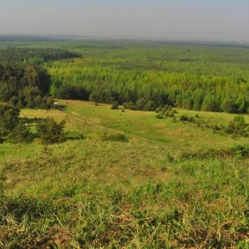 Pustynia Błędowska w Kluczach, Magdalena