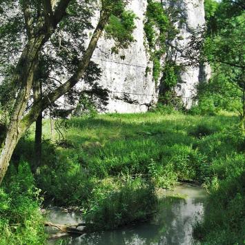 , Magdalena