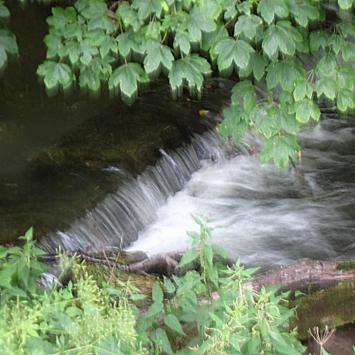 prądnik, Magdalena