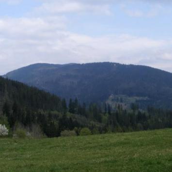 , axtom