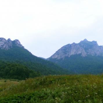 Zębaty Rozsutec - zdjęcie