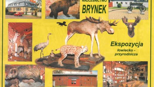 Brynek-widokówka, Halina