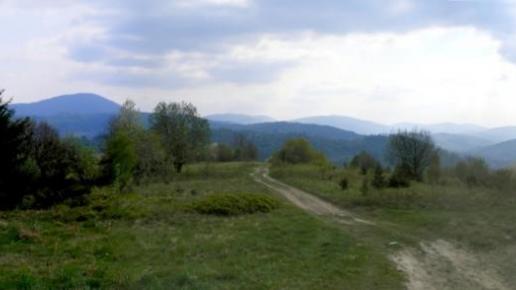 , axtom