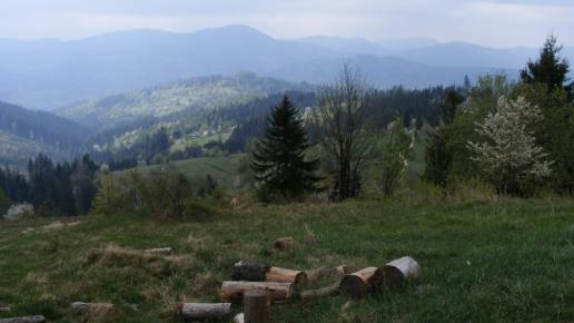 , axtom