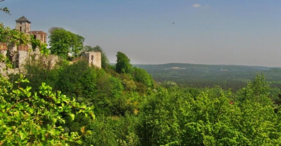 Pustynia Błędowska - Kraków (Klucze, rabsztyn, rudno - zamek tenczyn) - zdjęcie