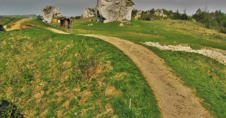 jurajska wiosna (zawiercie, skarżyce, morsko, góra zborów, bobolice, mirów) - zdjęcie