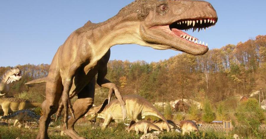 JuraPark Bałtów - zdjęcie