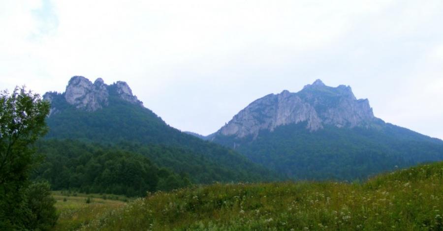 Zębaty Rozsutec - zdjęcie