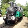 Parowóz Tx6-502 Oberschlesische Lokomotivwerke A.G. Krenau O.S (Chrzanów) 1944 r., Zbyszek Mat