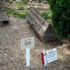 , Zbyszek Mat