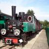Parowóz Tx2-355 Fabryka Orenstein, Zbyszek Mat