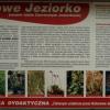 , Zbyszek Mat