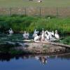 , Zbyszek Mat