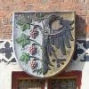 Sroda sląska, Krzysztof Dorota