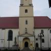 , Sylwester Jędrzejczak