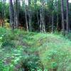 Fragmenty okopów z 1914roku,niemy świadek walk legionistów J.Piłsudskiego z Rosjanami, Karol