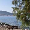 Widok na Zante, Edyta G.