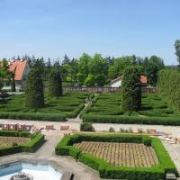 Baranów Sandomierski, Alek