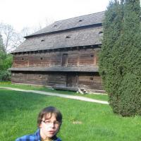 , Alek