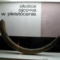 , Zbyszek Mat