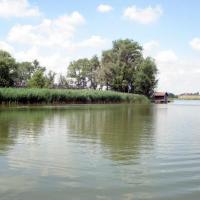 Biskupin, Zbyszek Mat