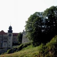 Zamek Pieskowa Slała.., Zbyszek Mat