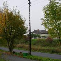 , Sylwester Jędrzejczak