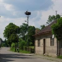 , Sylwester Jędrzejczak