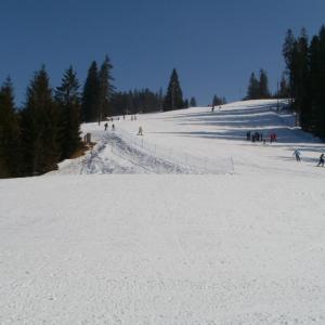 Jurgów