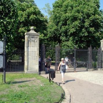 w Parku Oliwskim.., Zbyszek Mat
